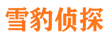 汉川婚外情调查取证